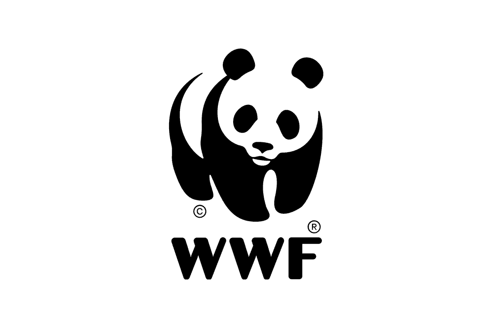 Charity-Branding-Wwf-Logo-Design