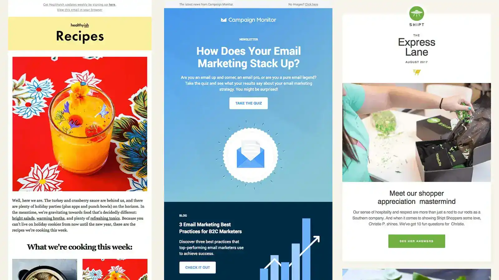 Email Newsletter Design Examples