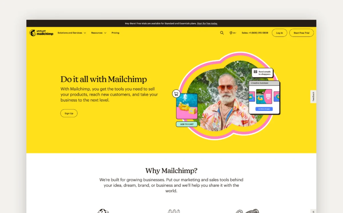 Storyteller Landing Page Example Mailchimp
