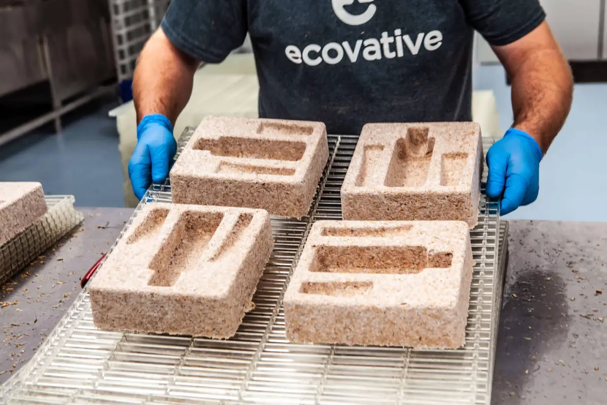Ecovative Produce Packaging Grown From Mushroom Roots