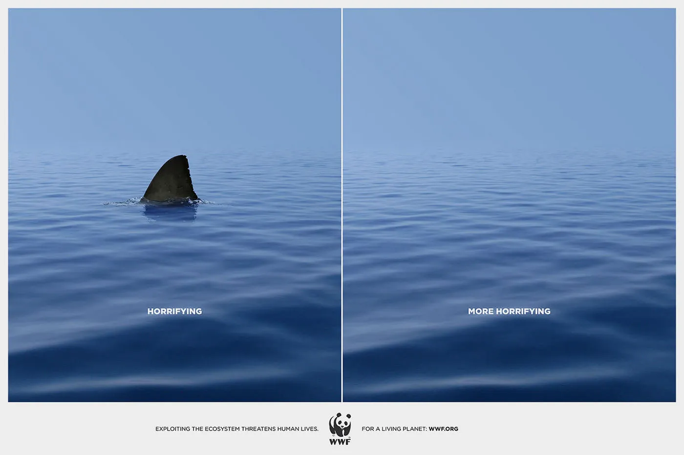 Best Print Ads Horrifying More Horrifying Wwf Ad