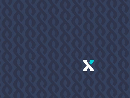 Corporate Identity Design Business Logo Branding