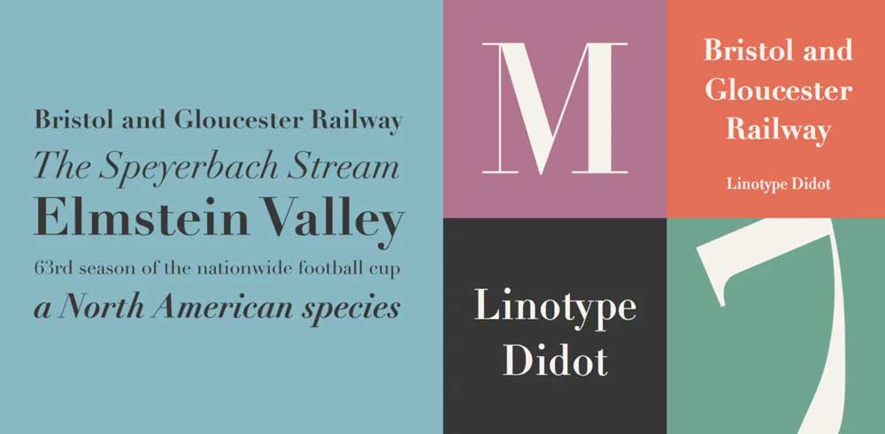 Didot Typeface