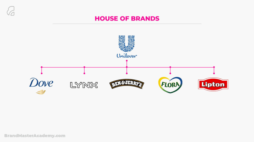 Brand Architecture House Of Brands