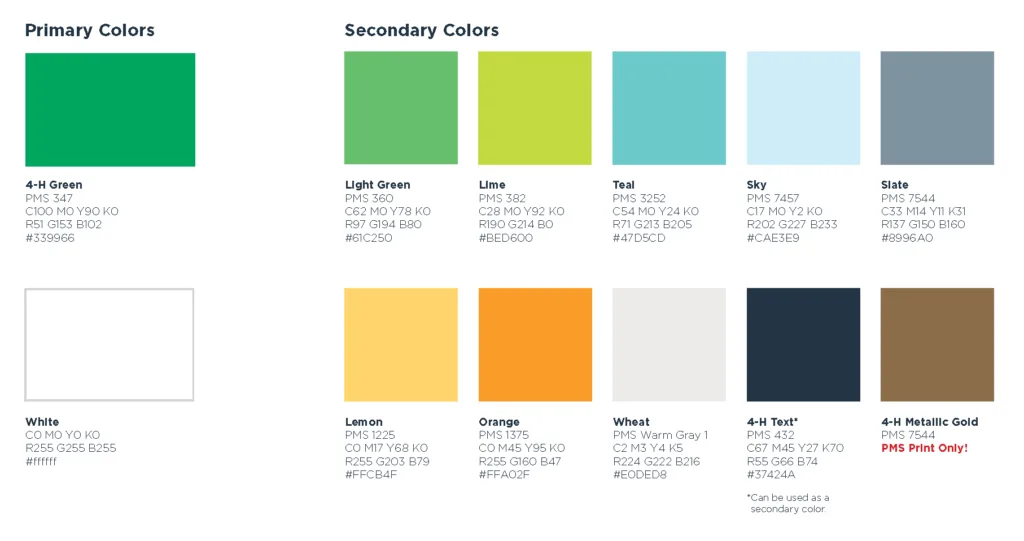 Branding Board Colour Palette