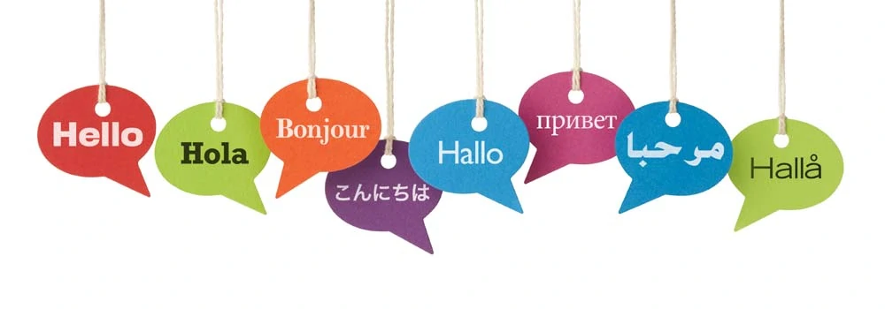 Language-Accessability-Ui-Elements