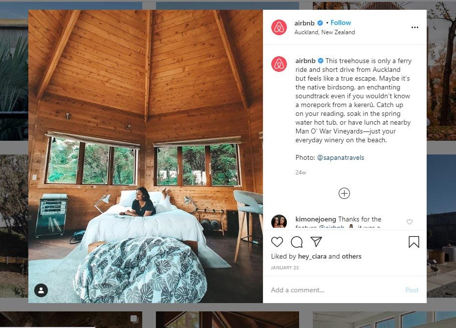 Airbnb Brand Loyalty Social Media