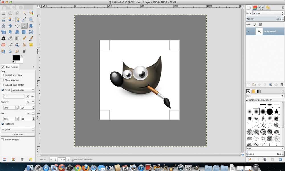 best program for graphic design for mac