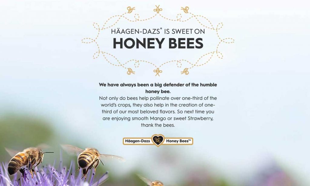 Honey Bees Marketing Campaign
