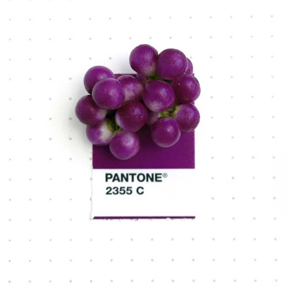 Pantone Colours Guide