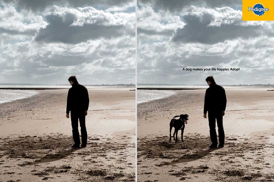 Clever Dog Adverts