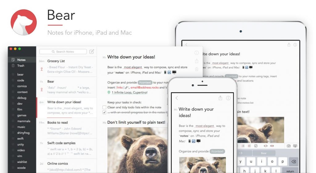 Bear App For Writers
