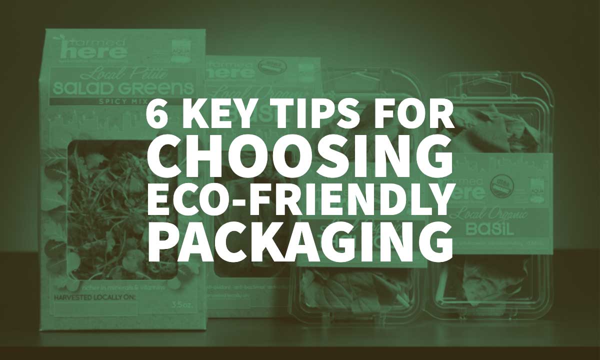 Eco Friendly Packaging Design