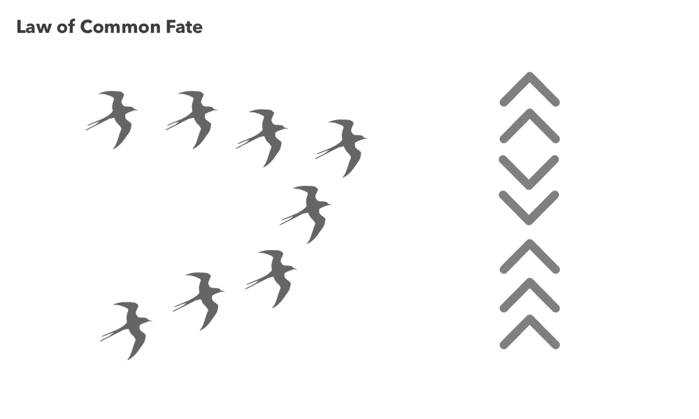 Law Of Common Fate