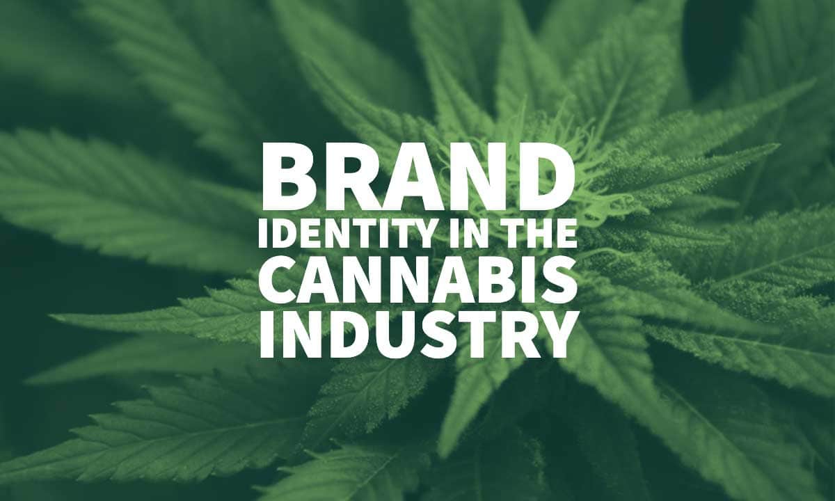 Brand Identity Cannabis Branding