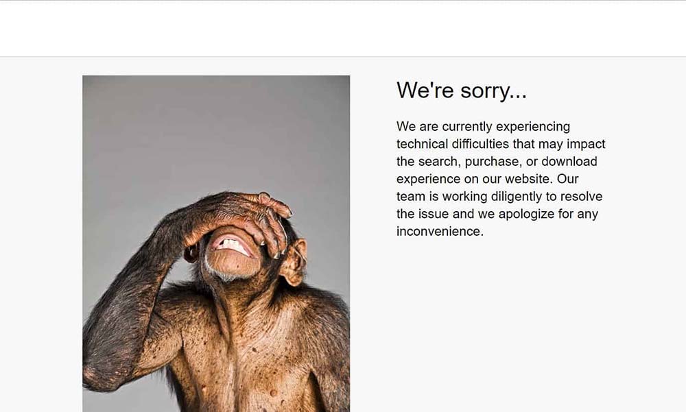 Sorry Website Down