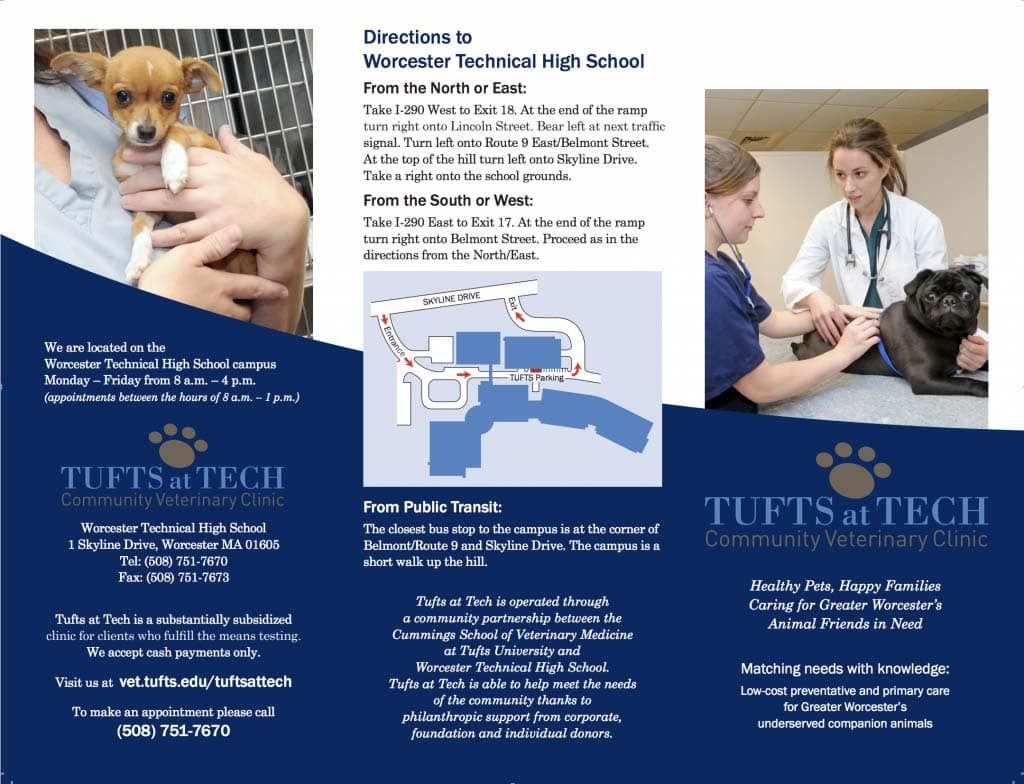 Local Vet Brochure Design Services