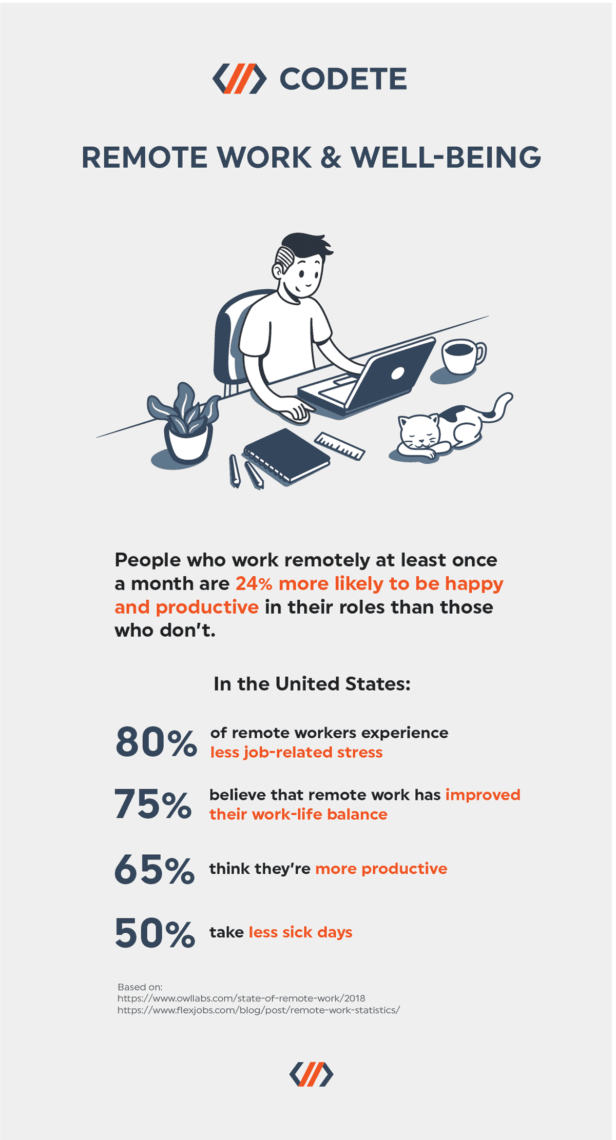 Remote Freelancing Infographic