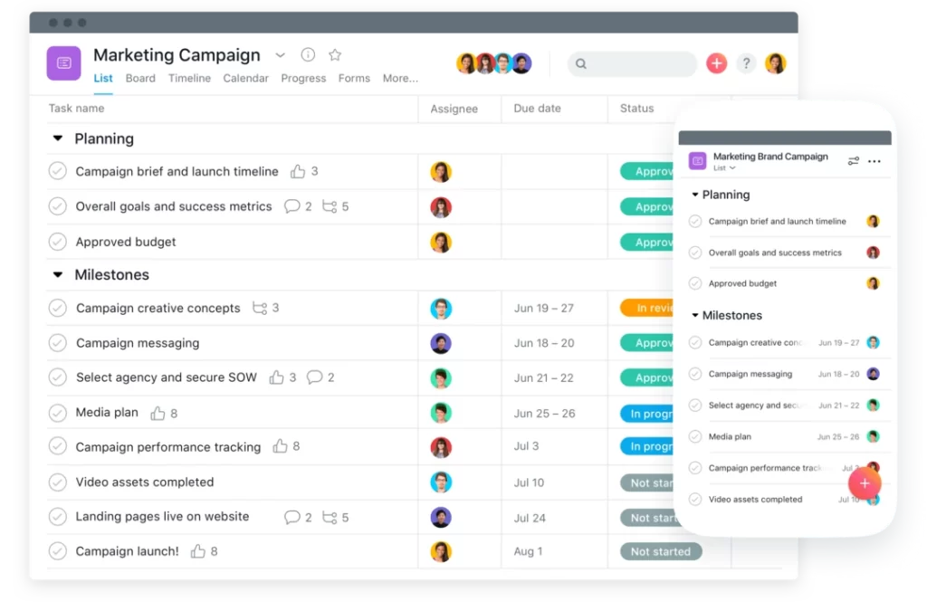 Asana Project Management Tool