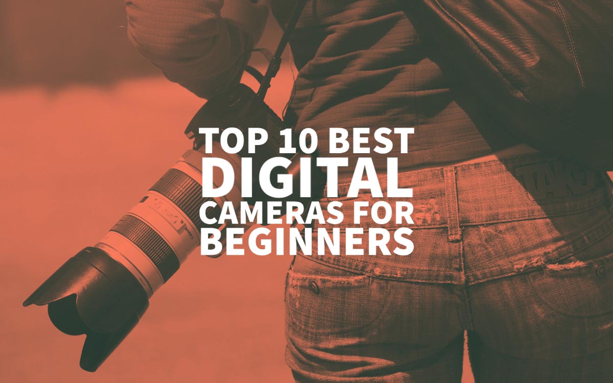 Best Digital Cameras For Beginners