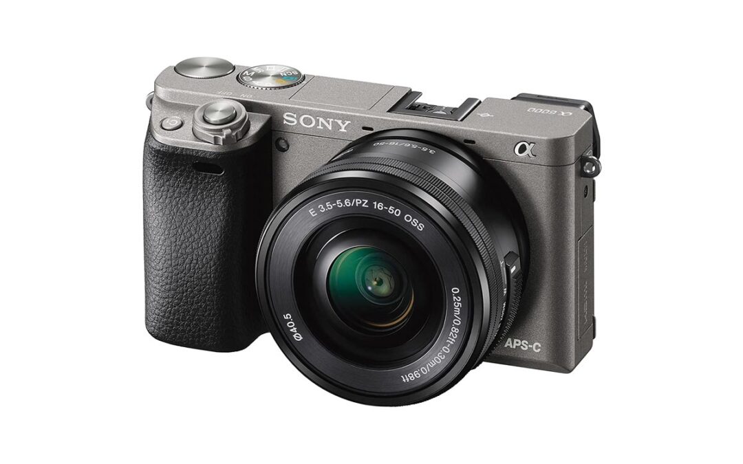 Top 10 Best Digital Cameras For Beginners (December 2024)