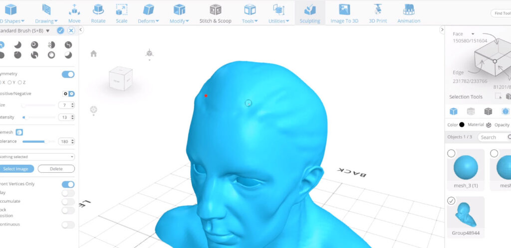 3D Human Head Rendered In Software