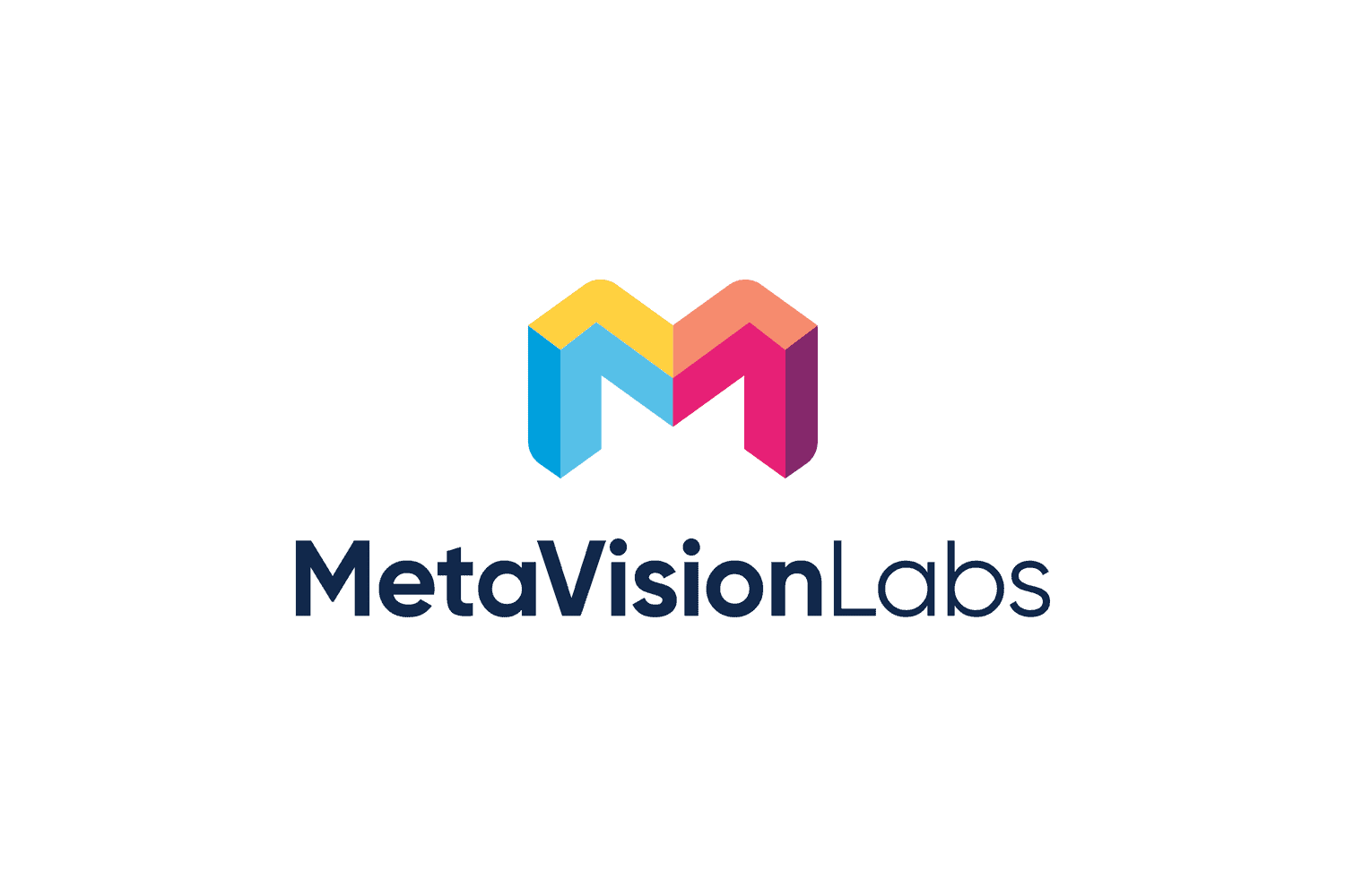 Metavision Labs Logo Design