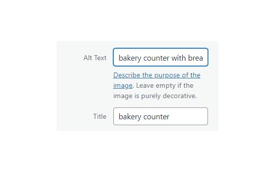 Optimise Image Alt Text