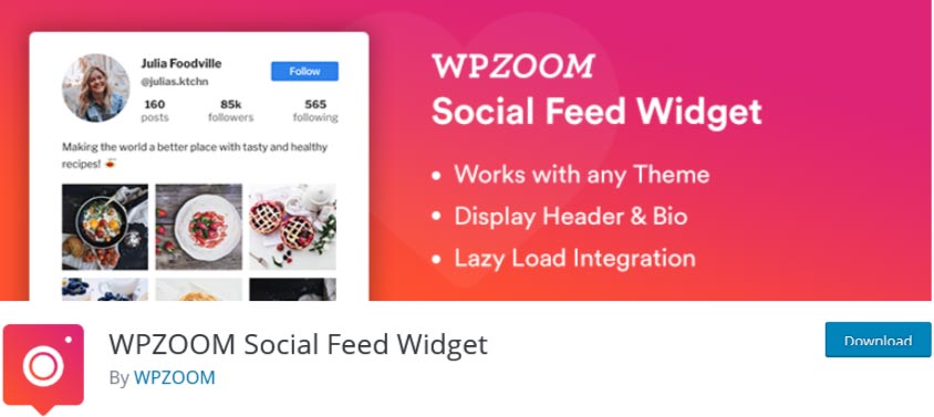 Wpzoom Social Feed Widget