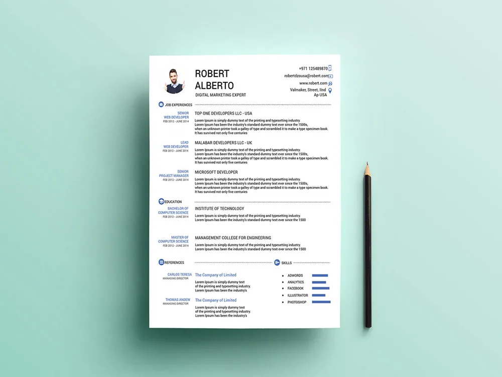 Best Cv Template For Digital Marketing Jobs