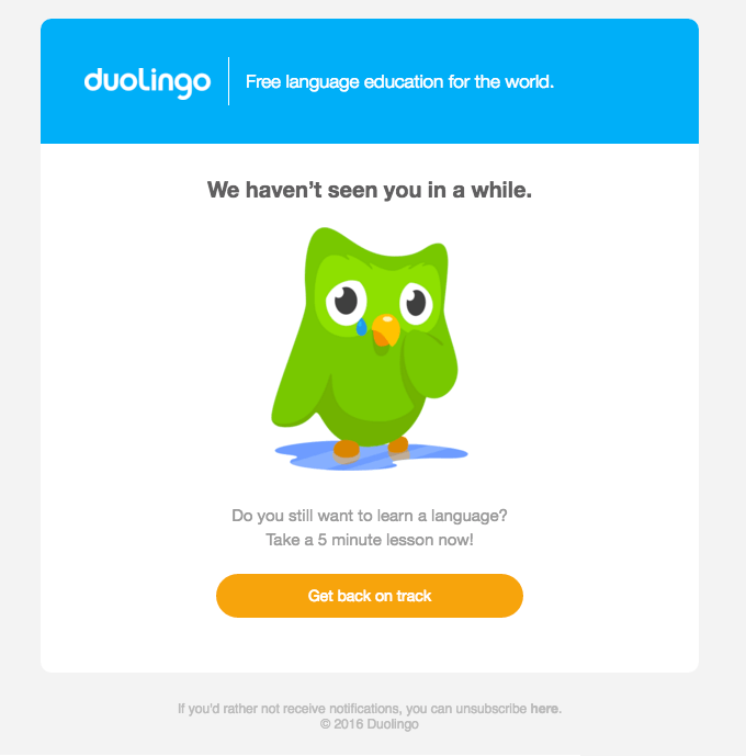 Duolingo Email Campaigns