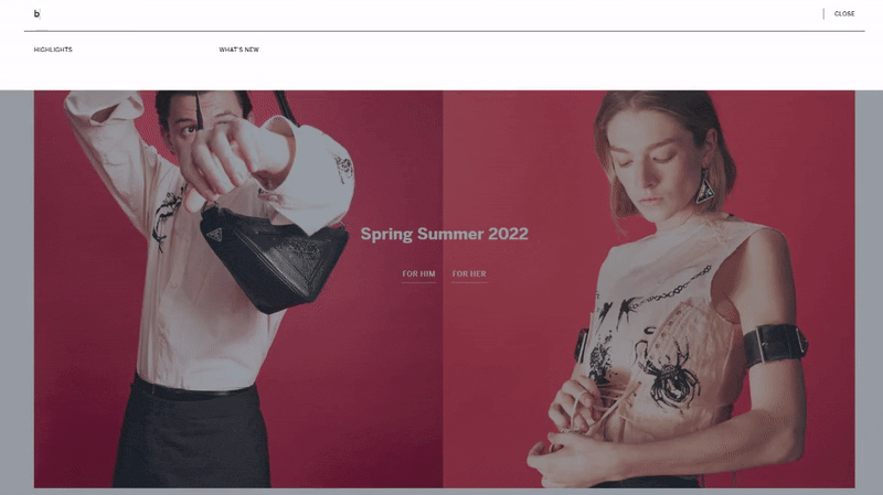 Search Bar Examples Prada