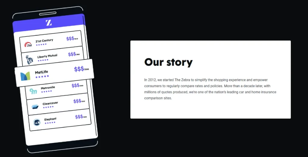 Best About Us Page Zebra Example