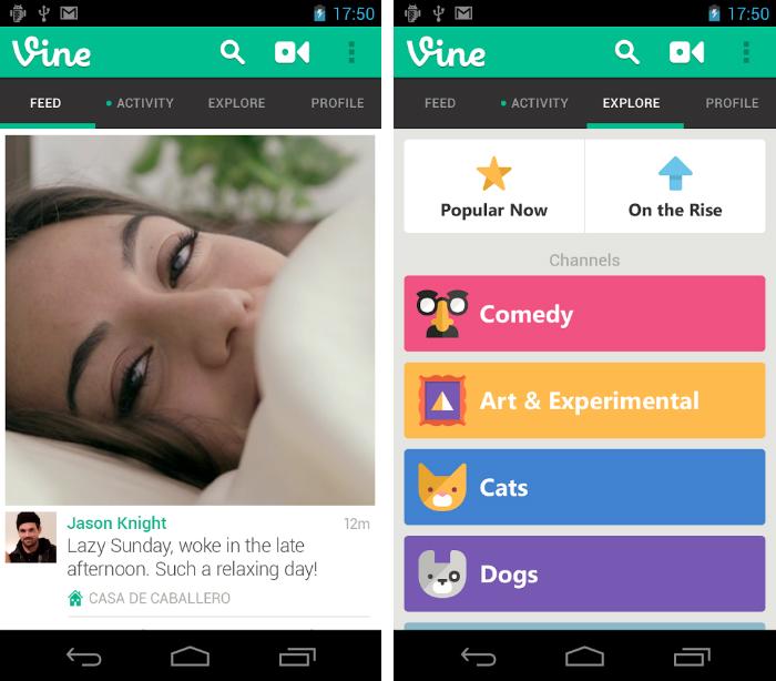 Vine App Graphics