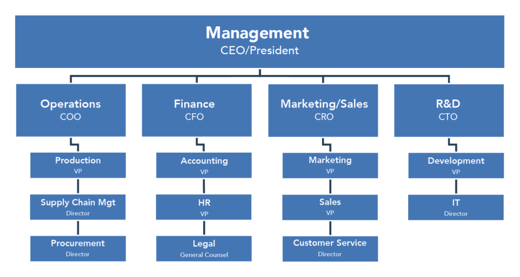 Functional Structure Of Business