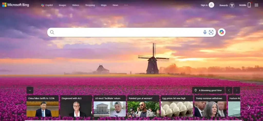 How Popular Is Bing In 2025