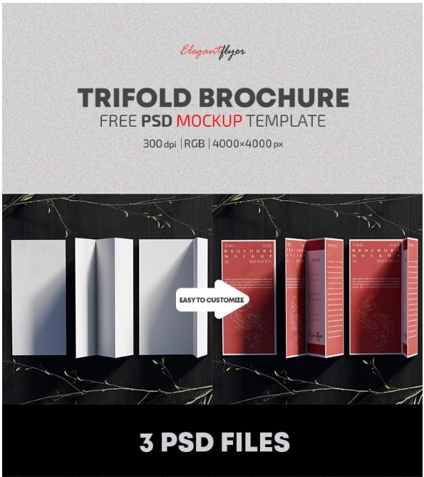Trifold Brochure Psd Mockup