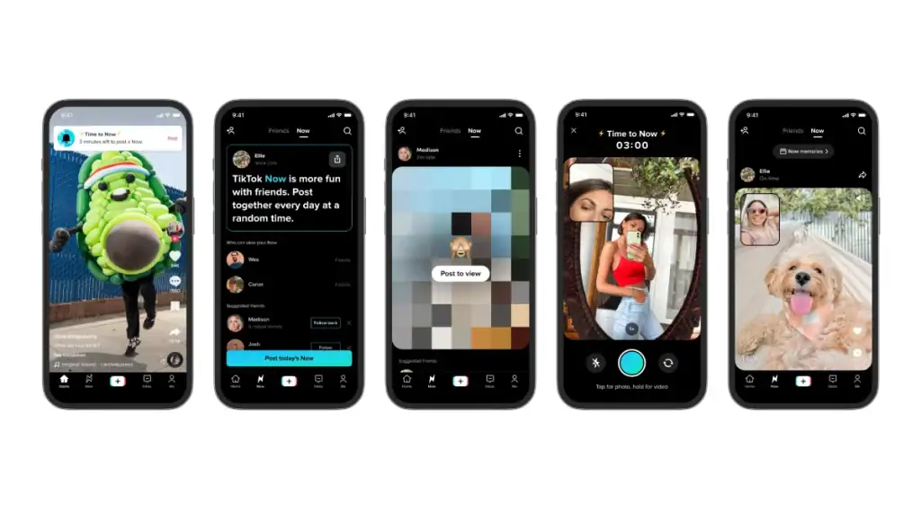 What Is Tiktok