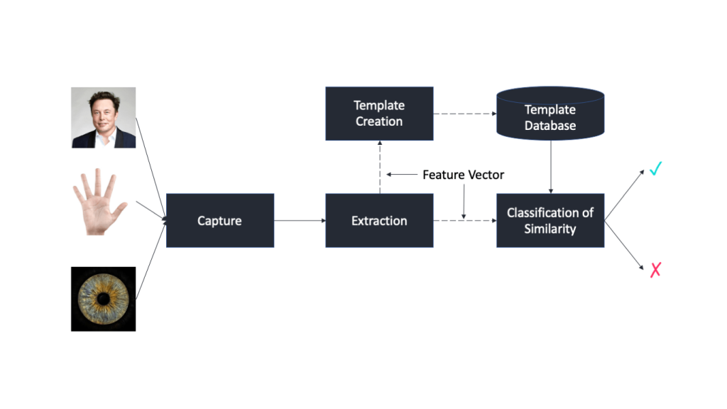 Biometric Authentication