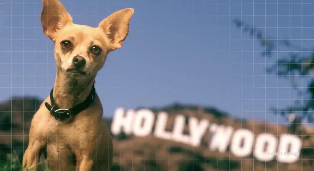 The Taco Bell Chihuahua Mascot