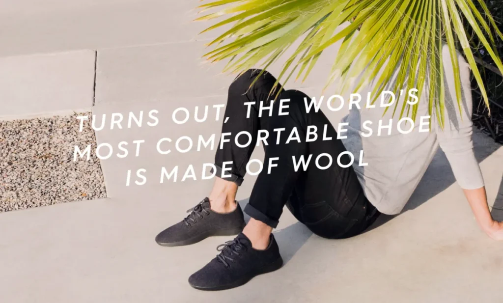 Allbirds Sustainabile Branding Example