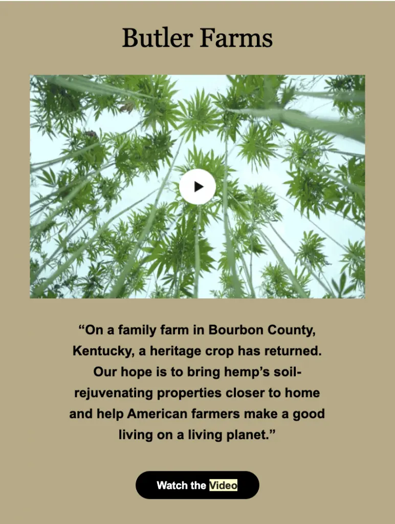 Patagonia Email Marketing With Video Example