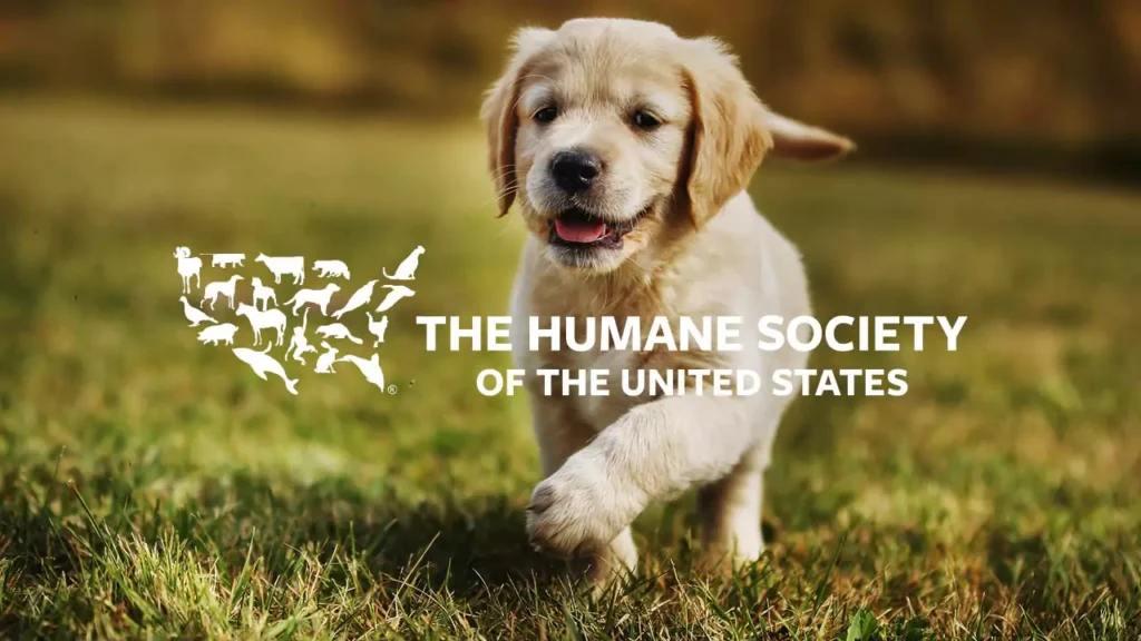 Humane Society Of The United States Brand Strategy