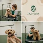 Pet Grooming Branding