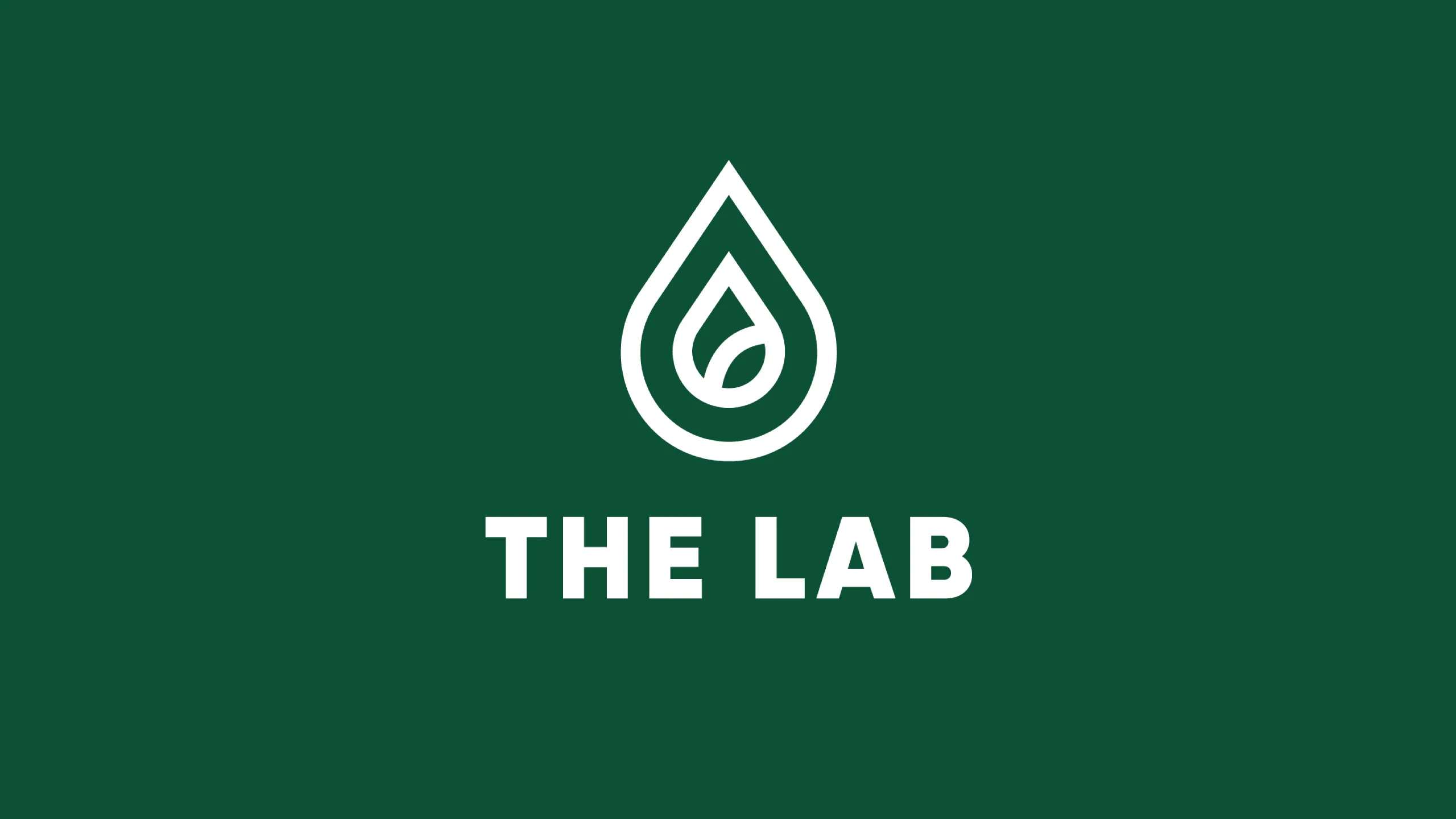 The Lab Belfast Logo Design Inkbot Design